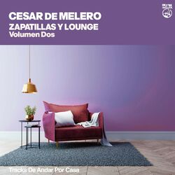 Cover of Zapatillas y Lounge - Volumen Dos (tracks de andar por casa)