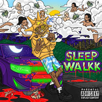 Sleep Walkin SLT - Sleep Walkk | Deezer