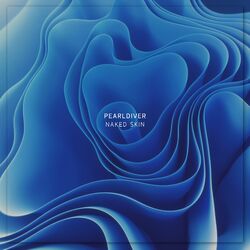 Cover of Naked Skin