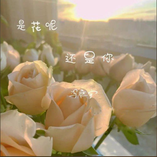 是花呢 还是你