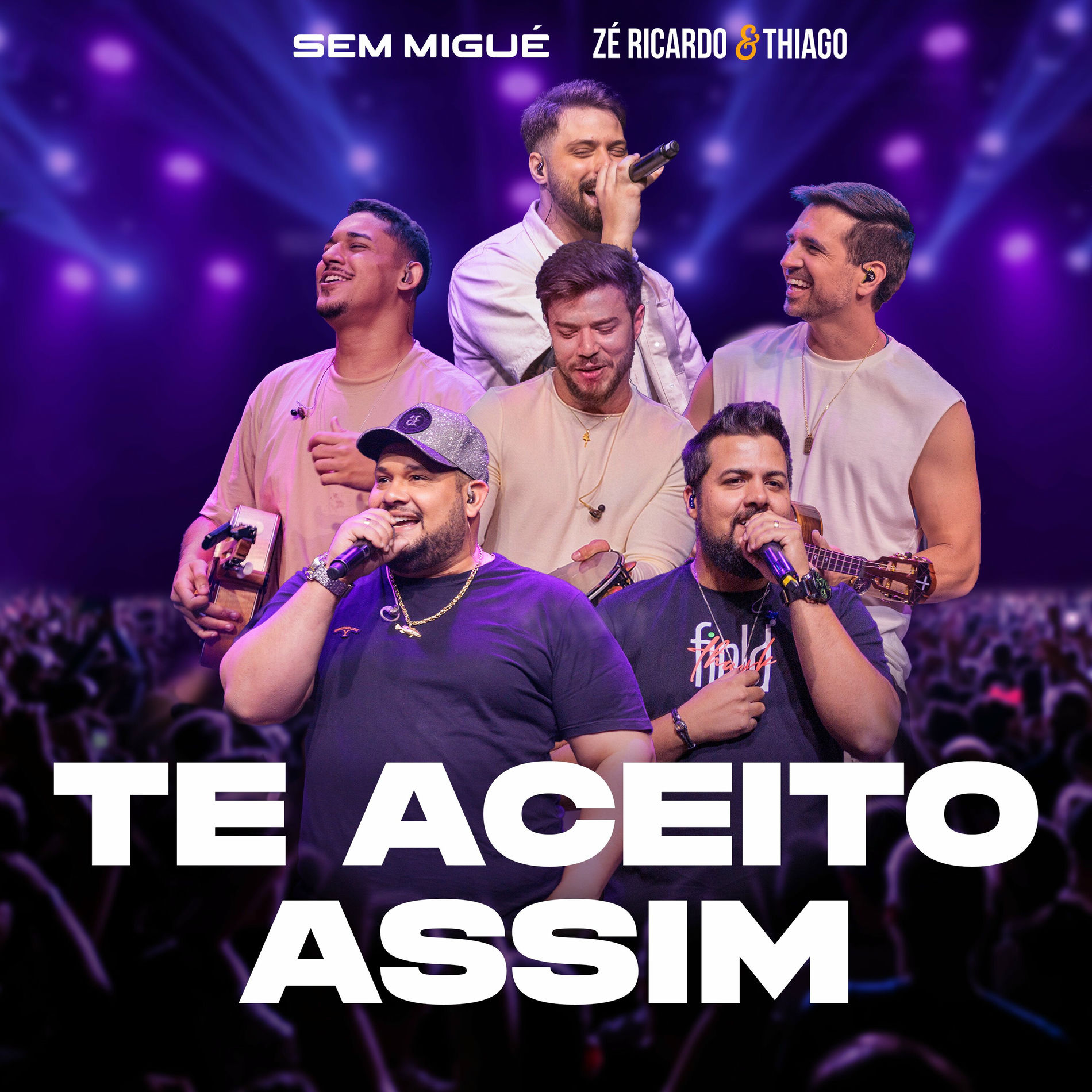 Album cover of Te Aceito Assim