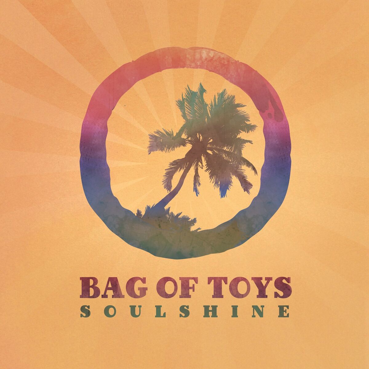 Album cover of Soulshine