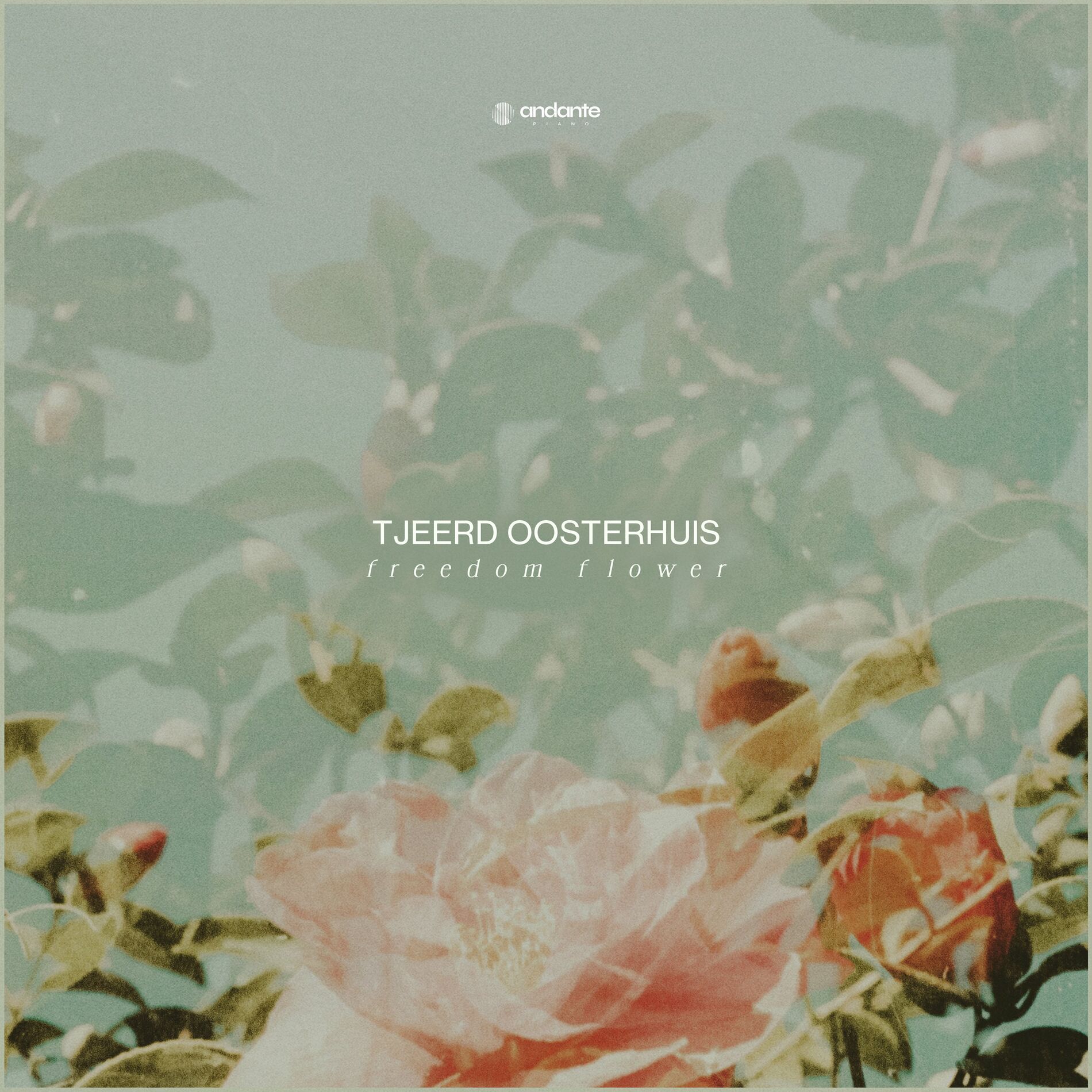 Album cover of Freedom Flower