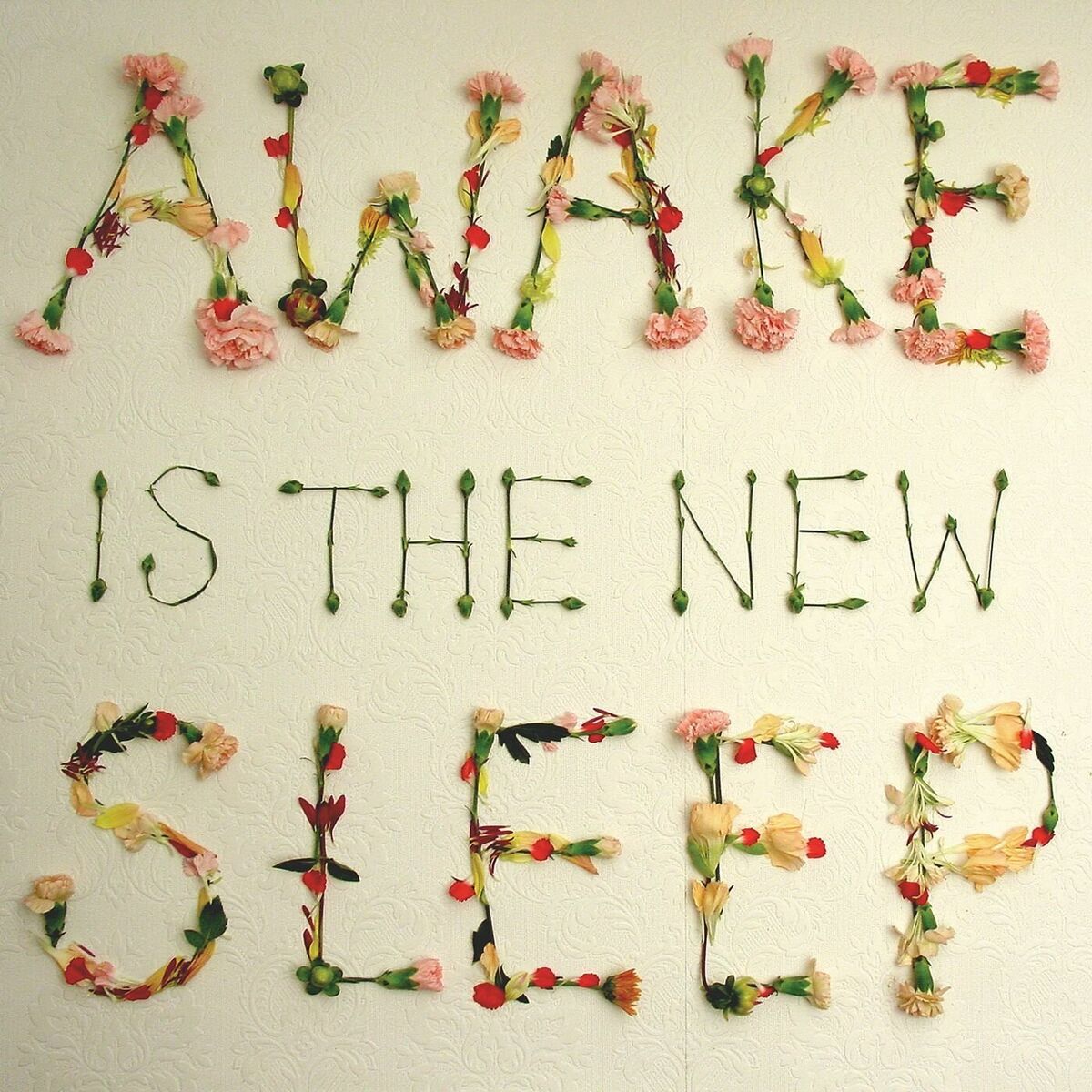 Album cover of Awake Is the New Sleep