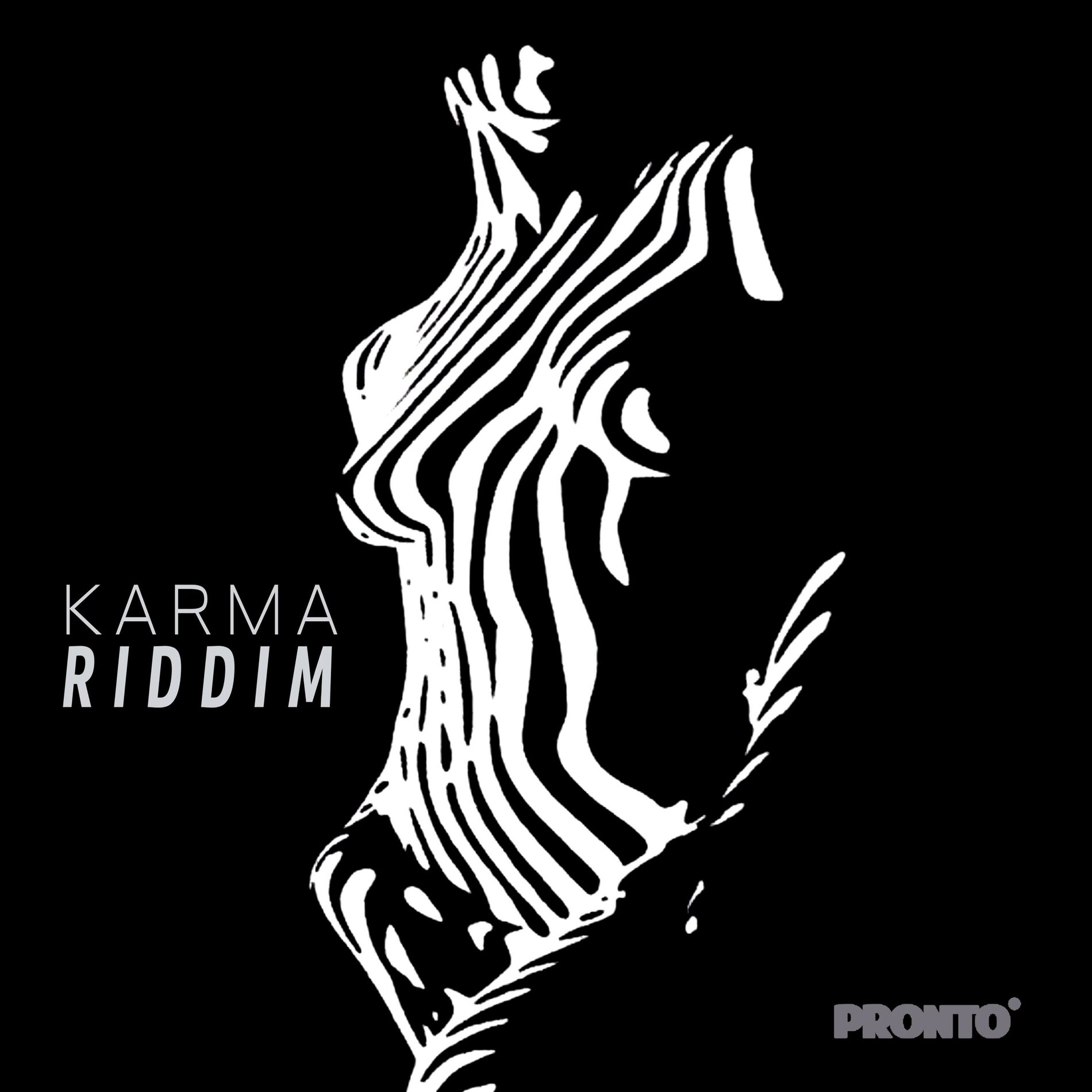 Album cover of KARMA RIDDIM