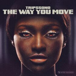 Cover of The Way You Move