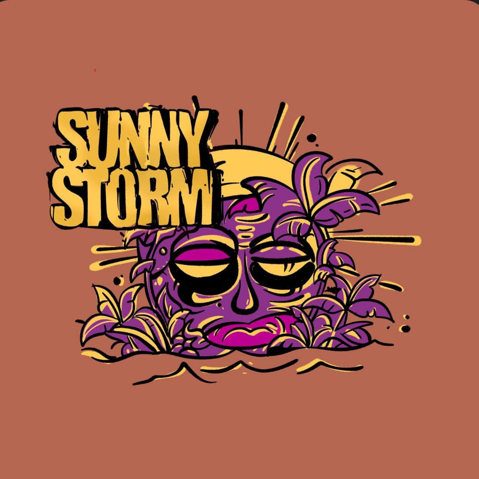 Album cover of Sunny Storm (feat. Conrad & Bardi)