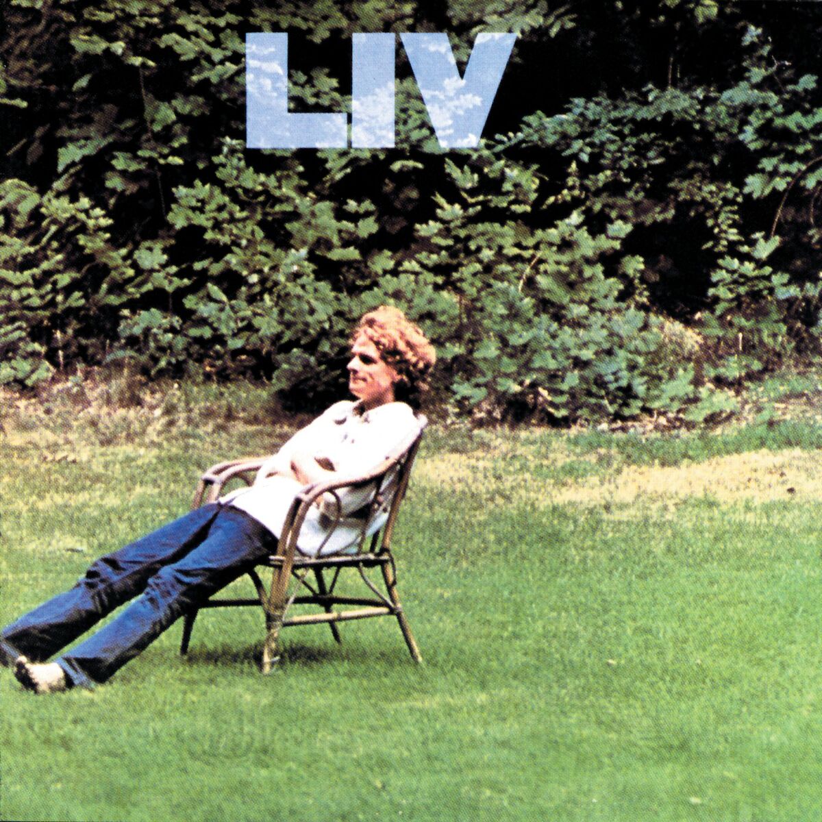 Album cover of Liv