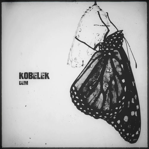 Kobelek