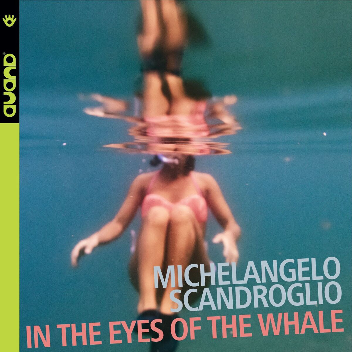 Album cover of In The Eyes Of The Whale
