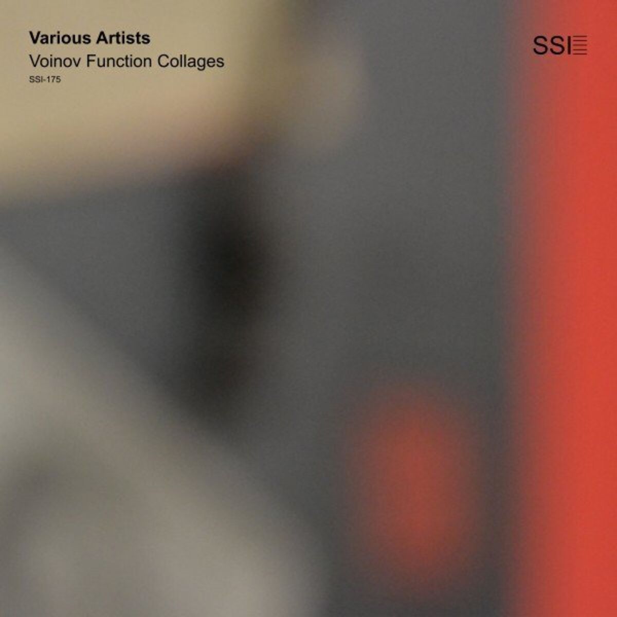 Album cover of Voinov Function Collages