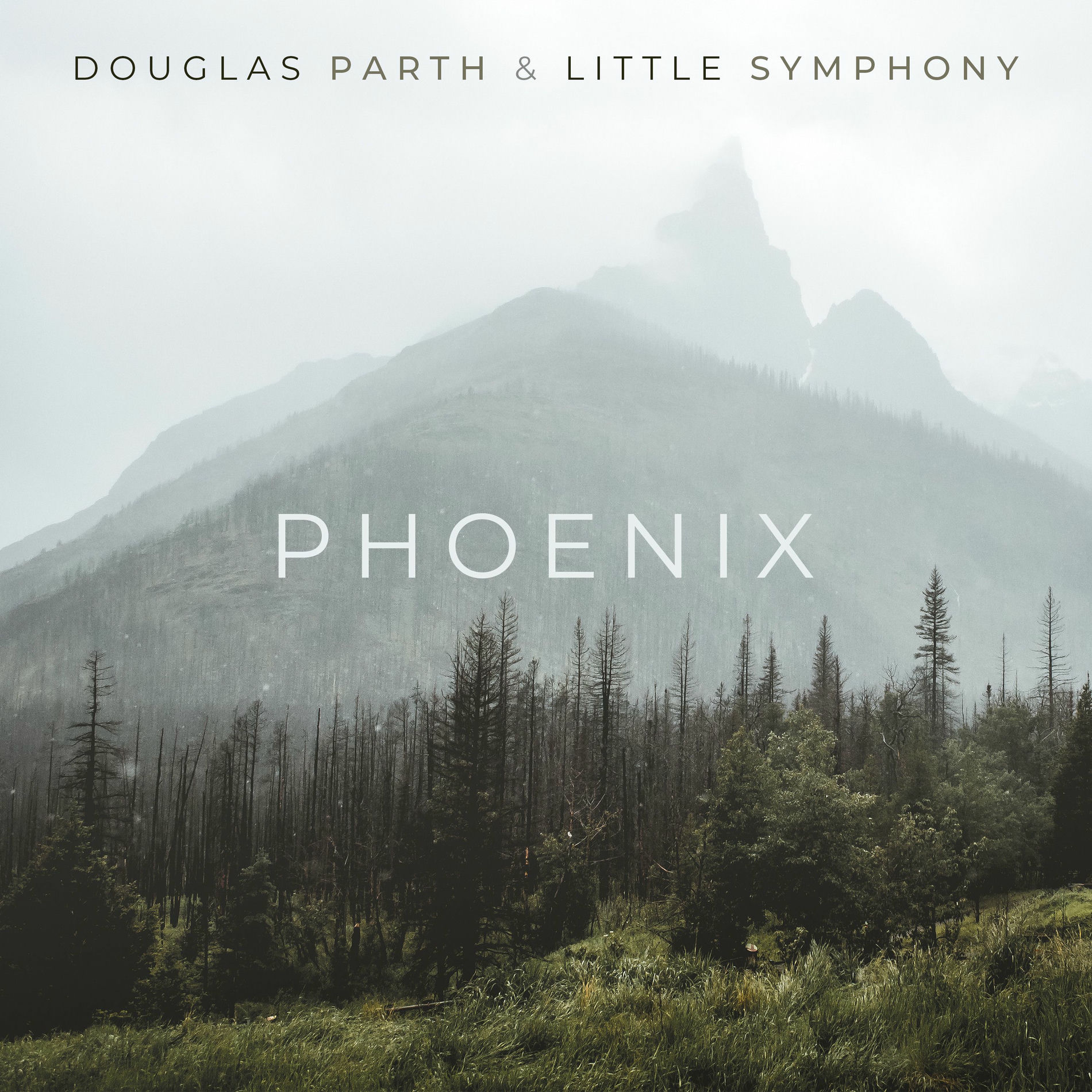 Album cover of Phoenix