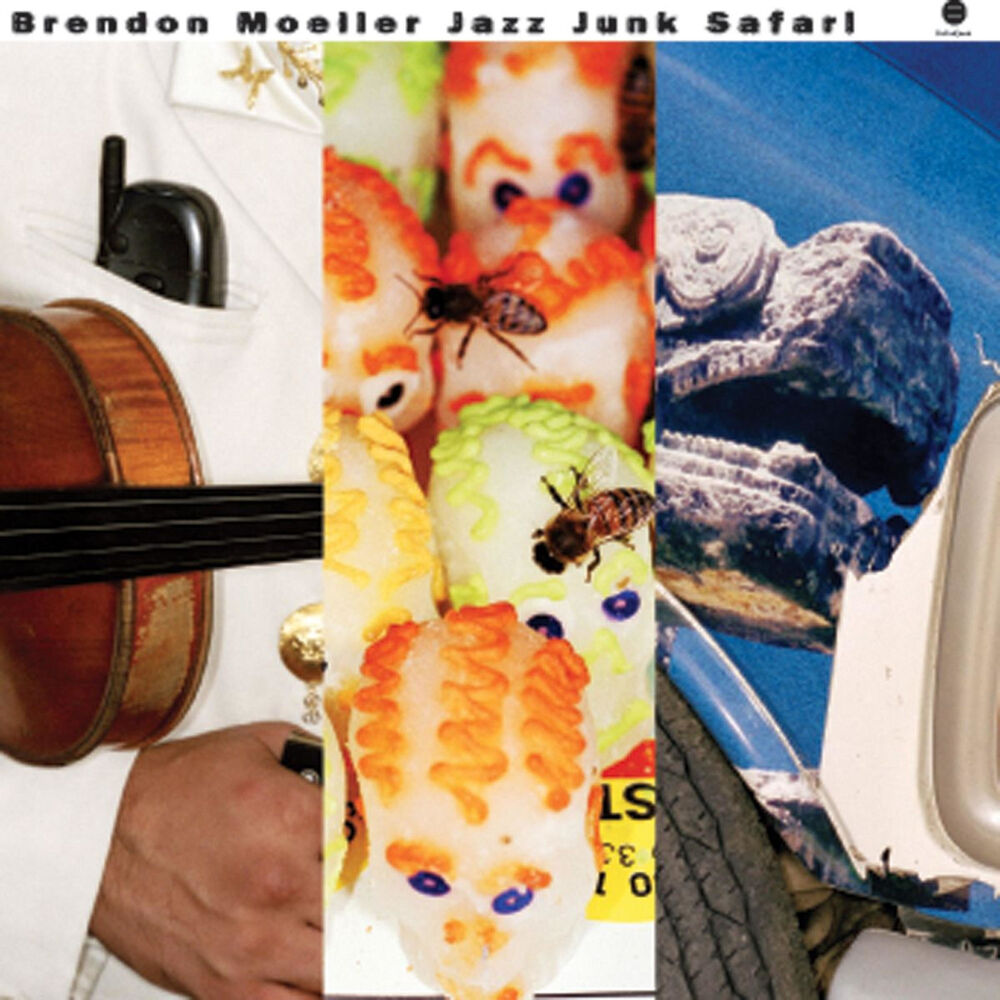 Picture of Jazz Junk Safari