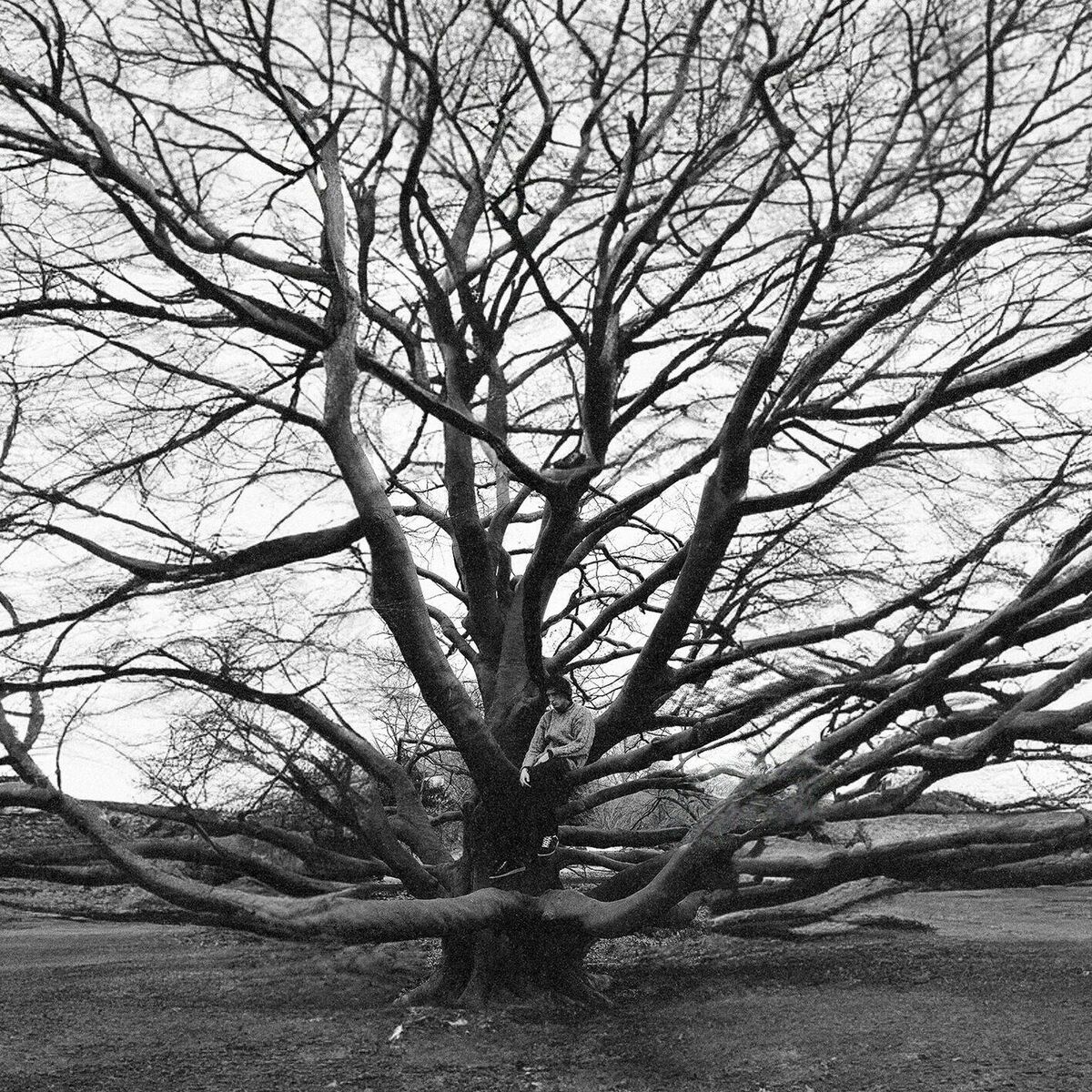 Album cover of such mit mir