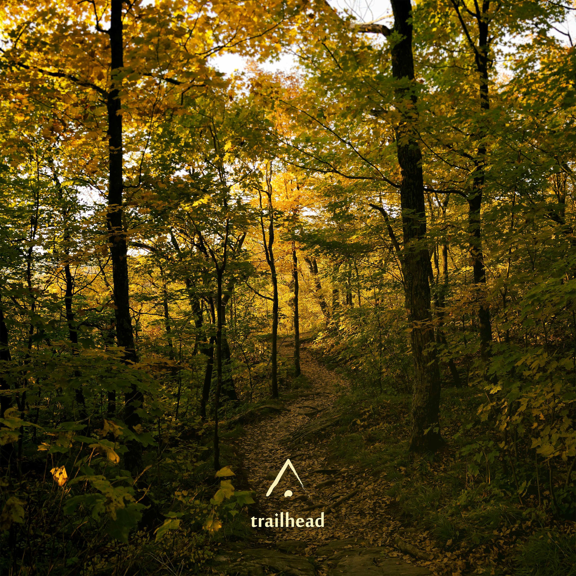 Album cover of Trailhead