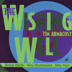 Cover of The Wishing Well
