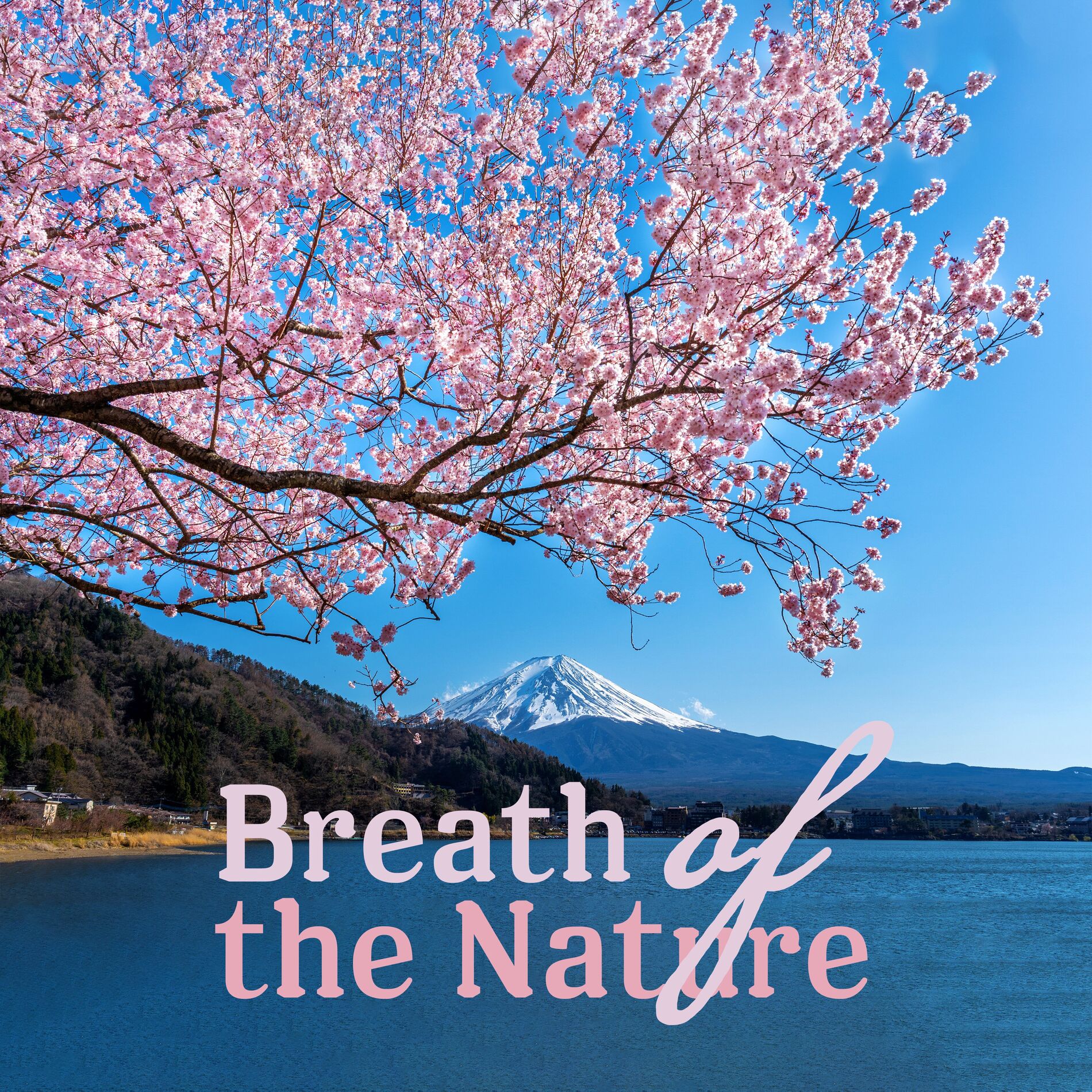 Album cover of Breath of the Nature: Calming Nature Sounds for Deep Relaxation