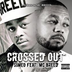 Cover of Crossed Out
