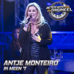 Cover of Ik Meen 'T