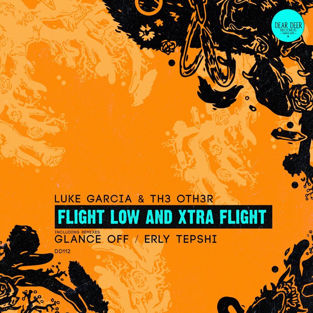 Picture of Flight Low & Xtra Flight