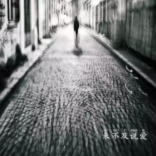 来不及说爱
