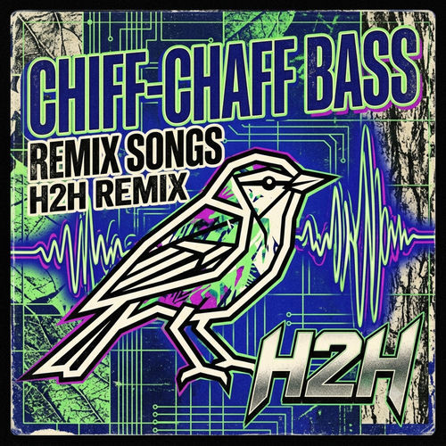 Chiff-Chaff Bass