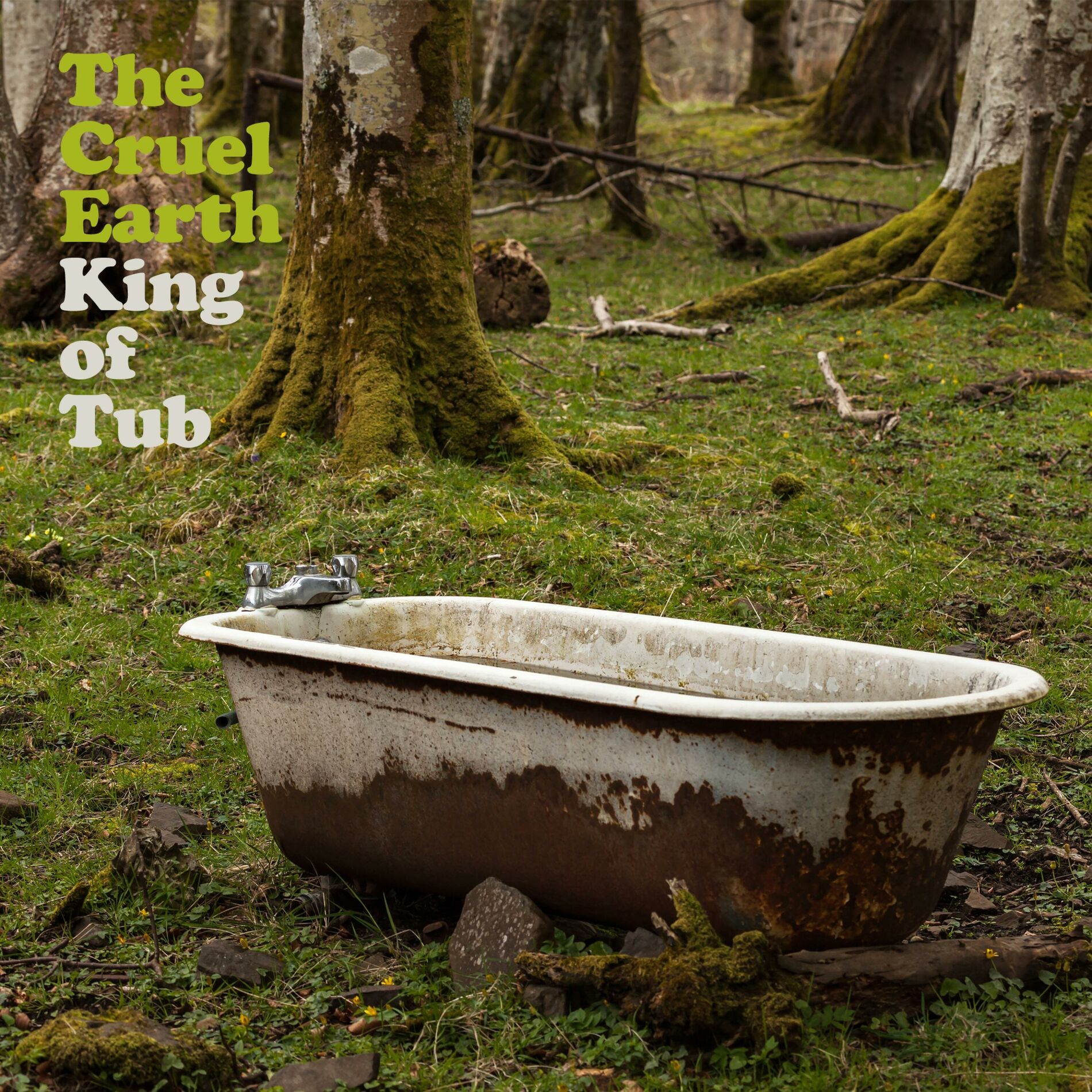 Album cover of The King Of Tub
