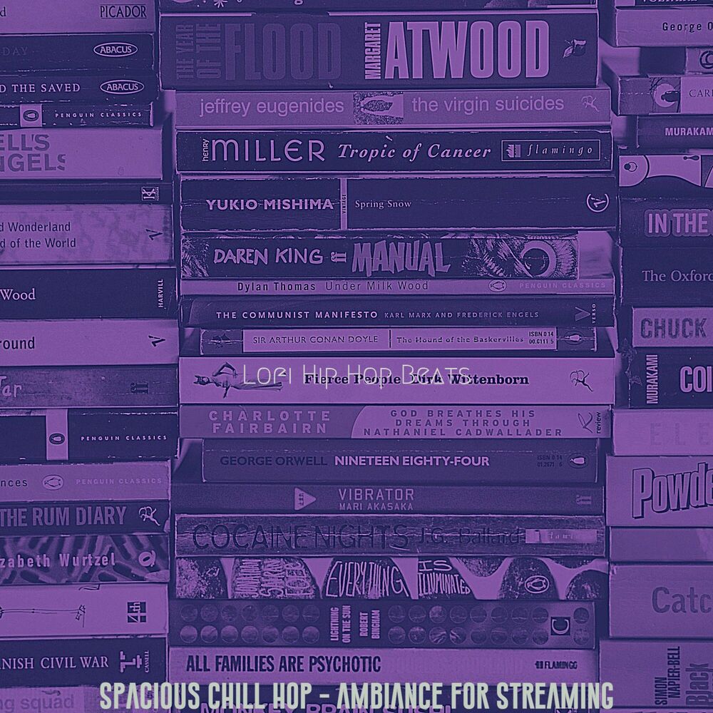 Picture of Spacious Chill Hop - Ambiance for Streaming