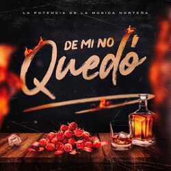 Cover of De Mí, No Quedó