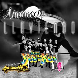 Cover of Amaneció Lloviendo