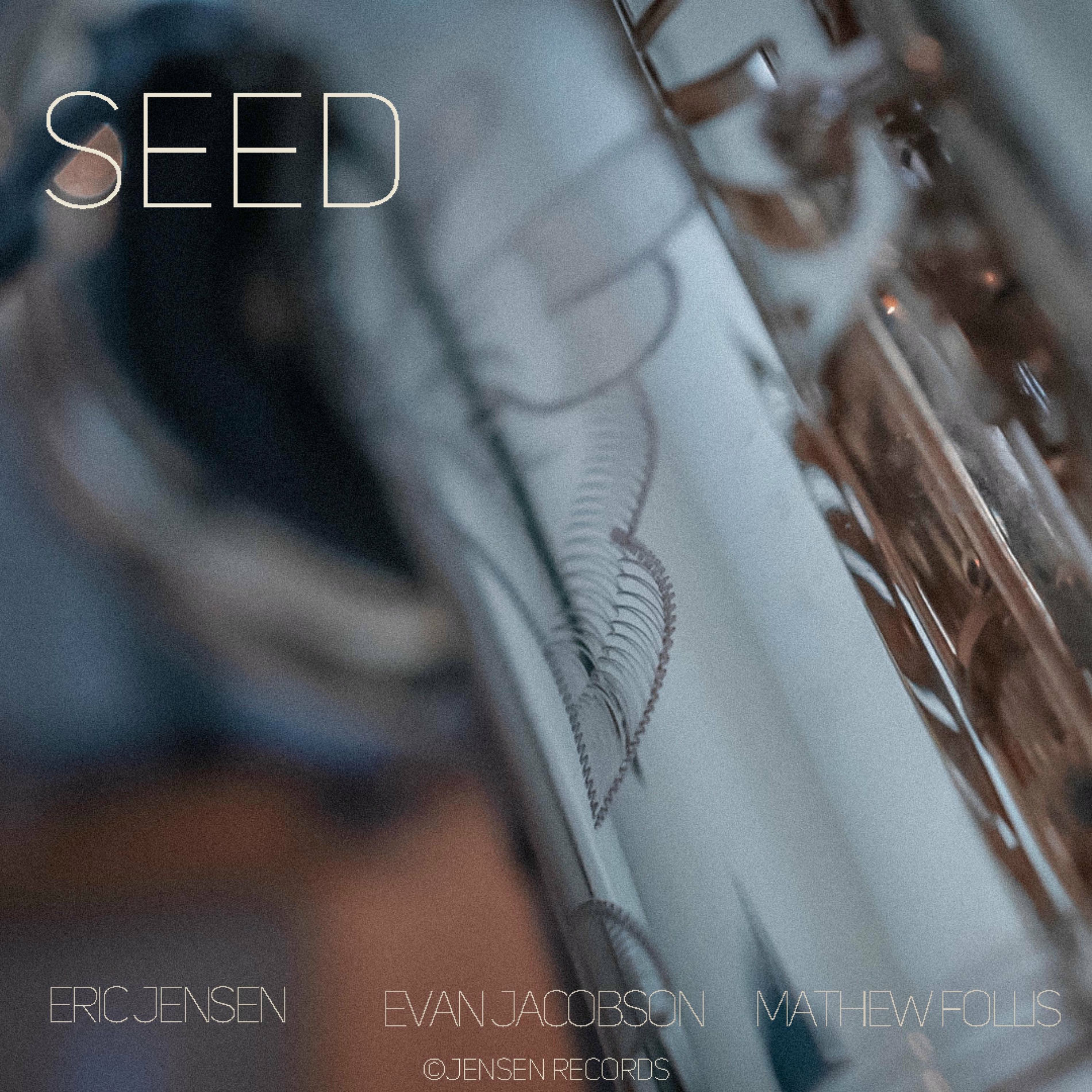 Album cover of Seed (feat. Evan Jacobson & Mathew Follis)