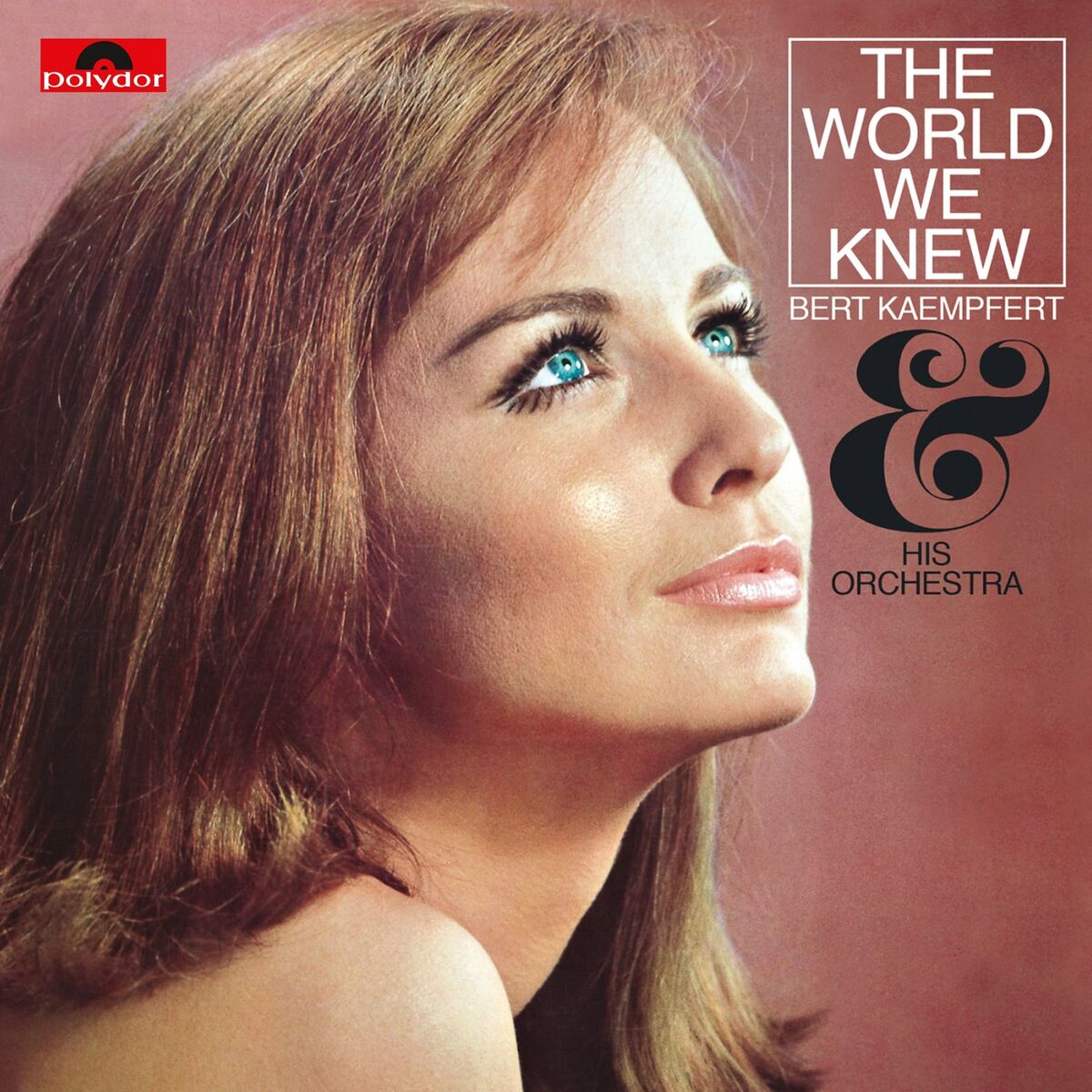 Album cover of The World We Knew