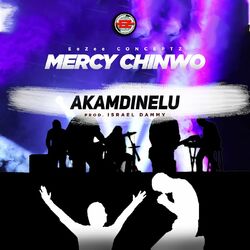 Cover of Akamdinelu