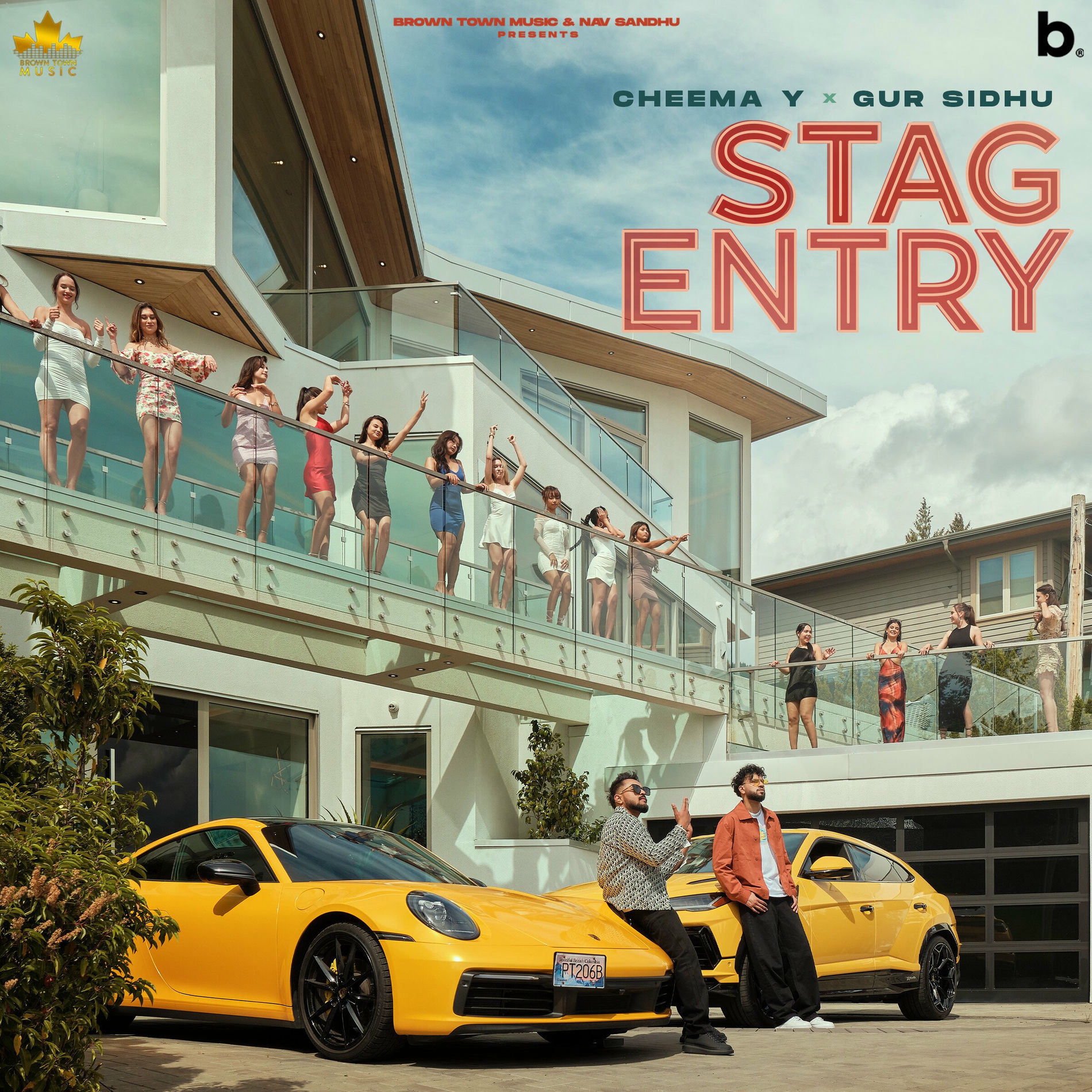 Album cover of Stag Entry