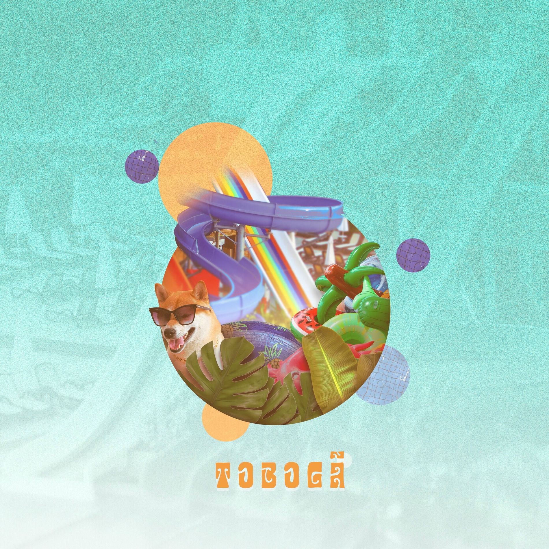 Album cover of Tobogã