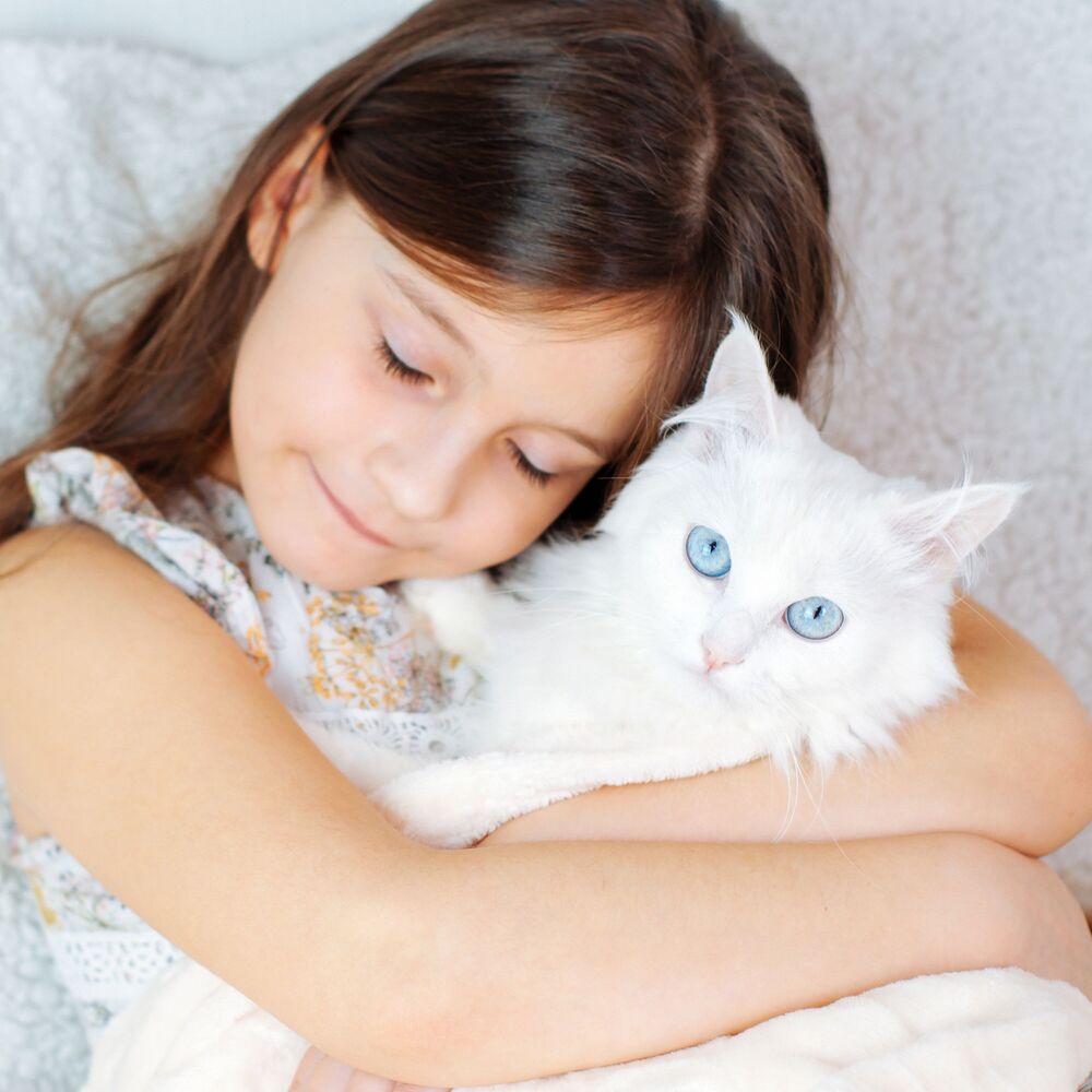Picture of Elevated Cat Harmony: Mindful Piano for Feline Love