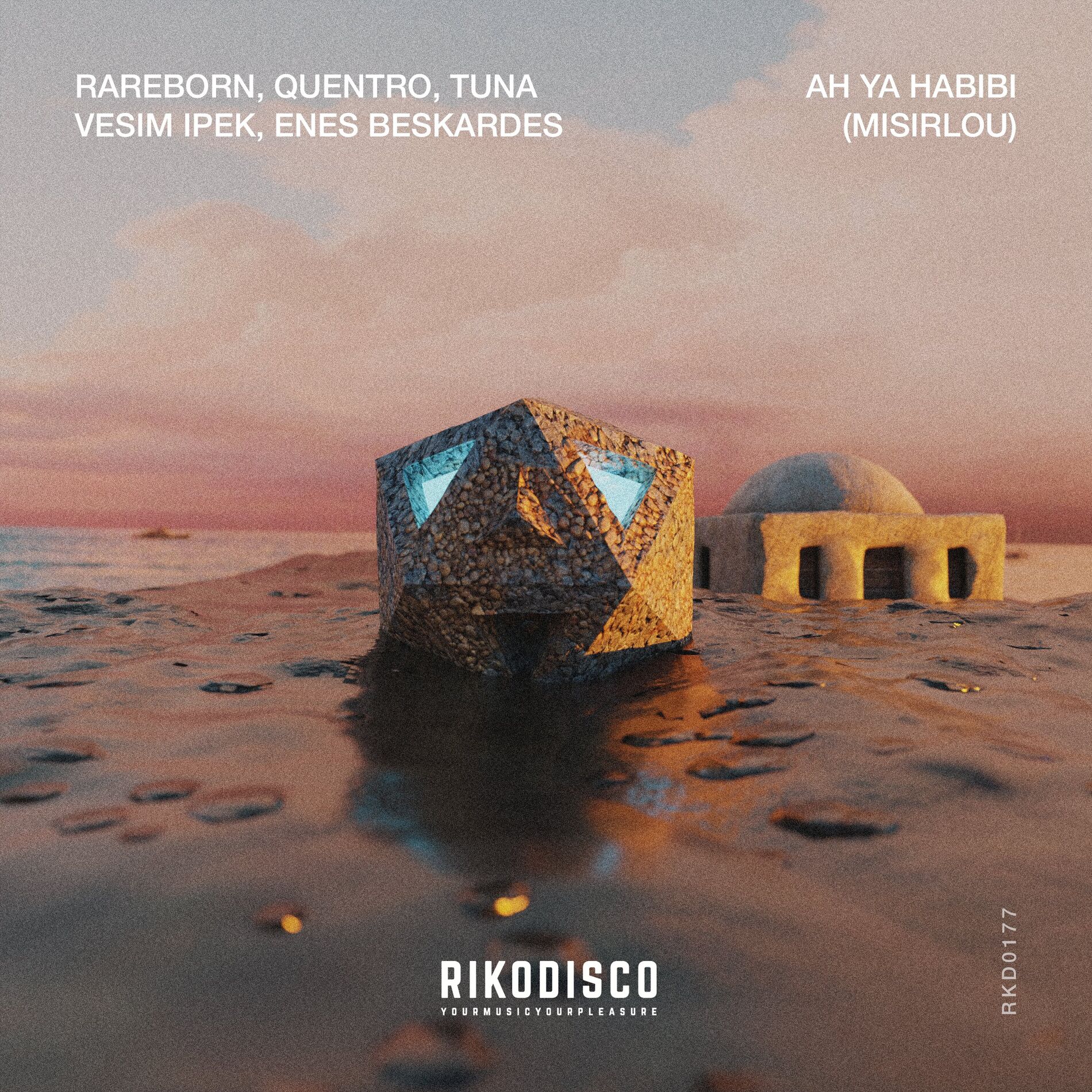 Album cover of Ah Ya Habibi (Misirlou)