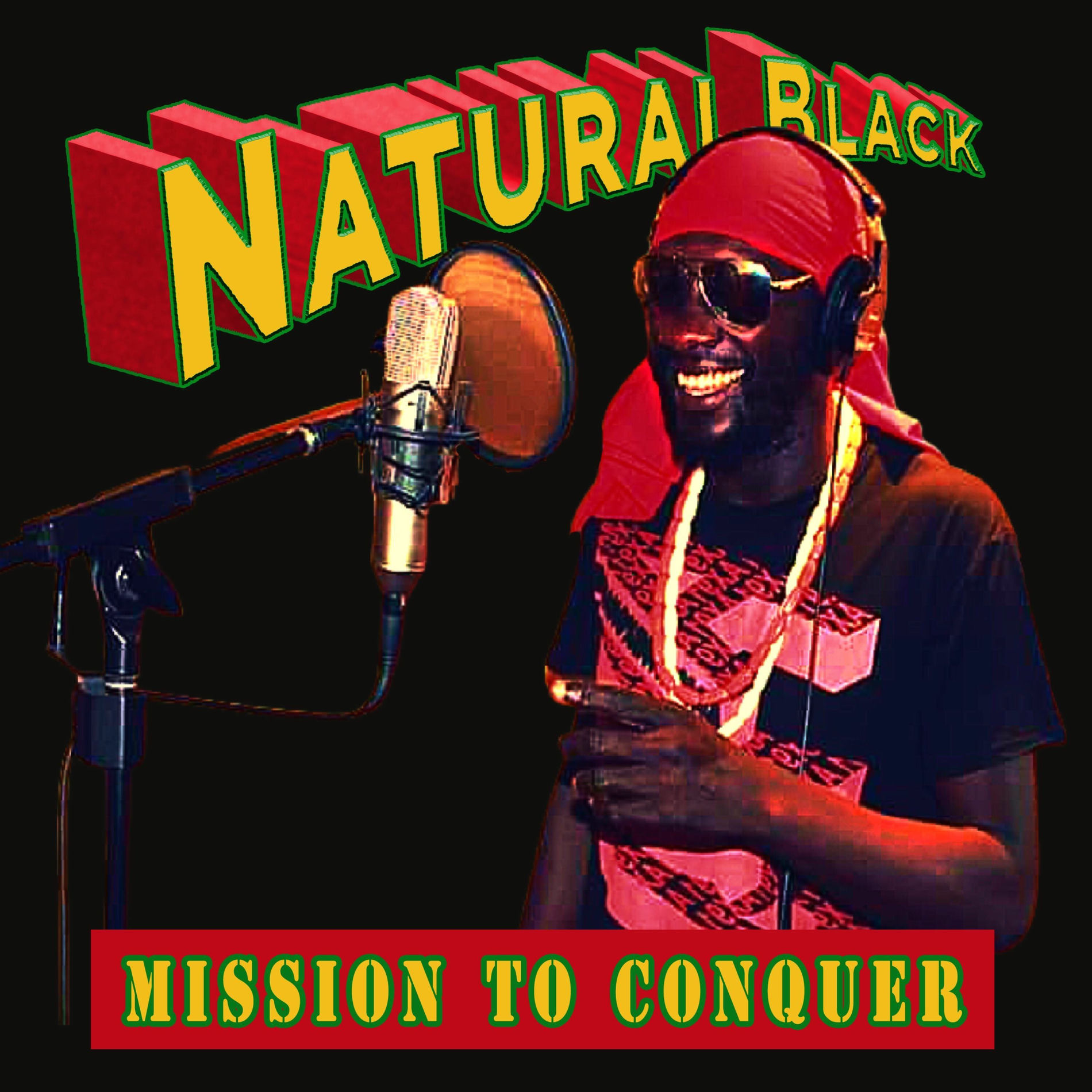 Album cover of Mission To Conquer
