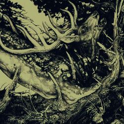 Cover of The Dark
