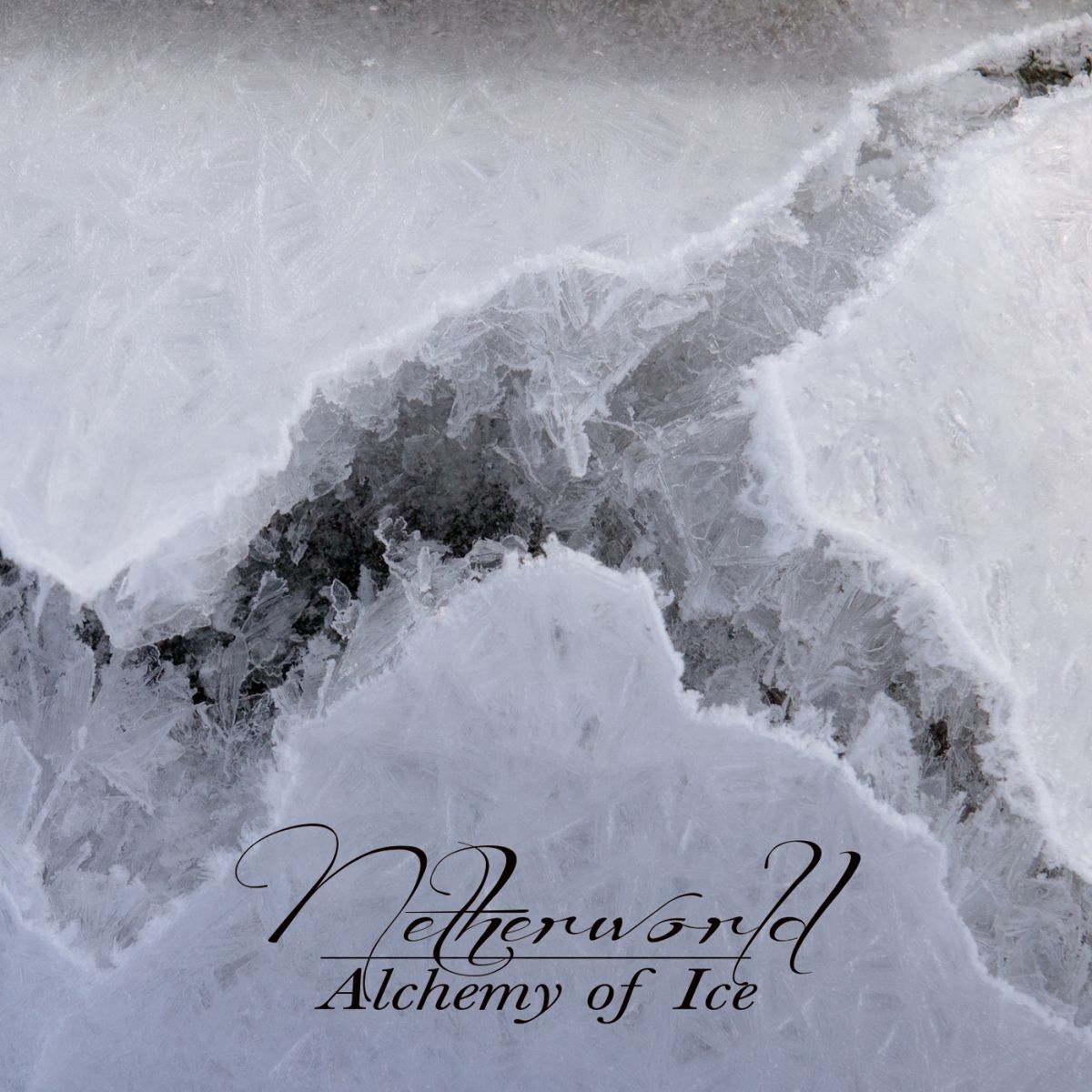 Album cover of Alchemy of Ice