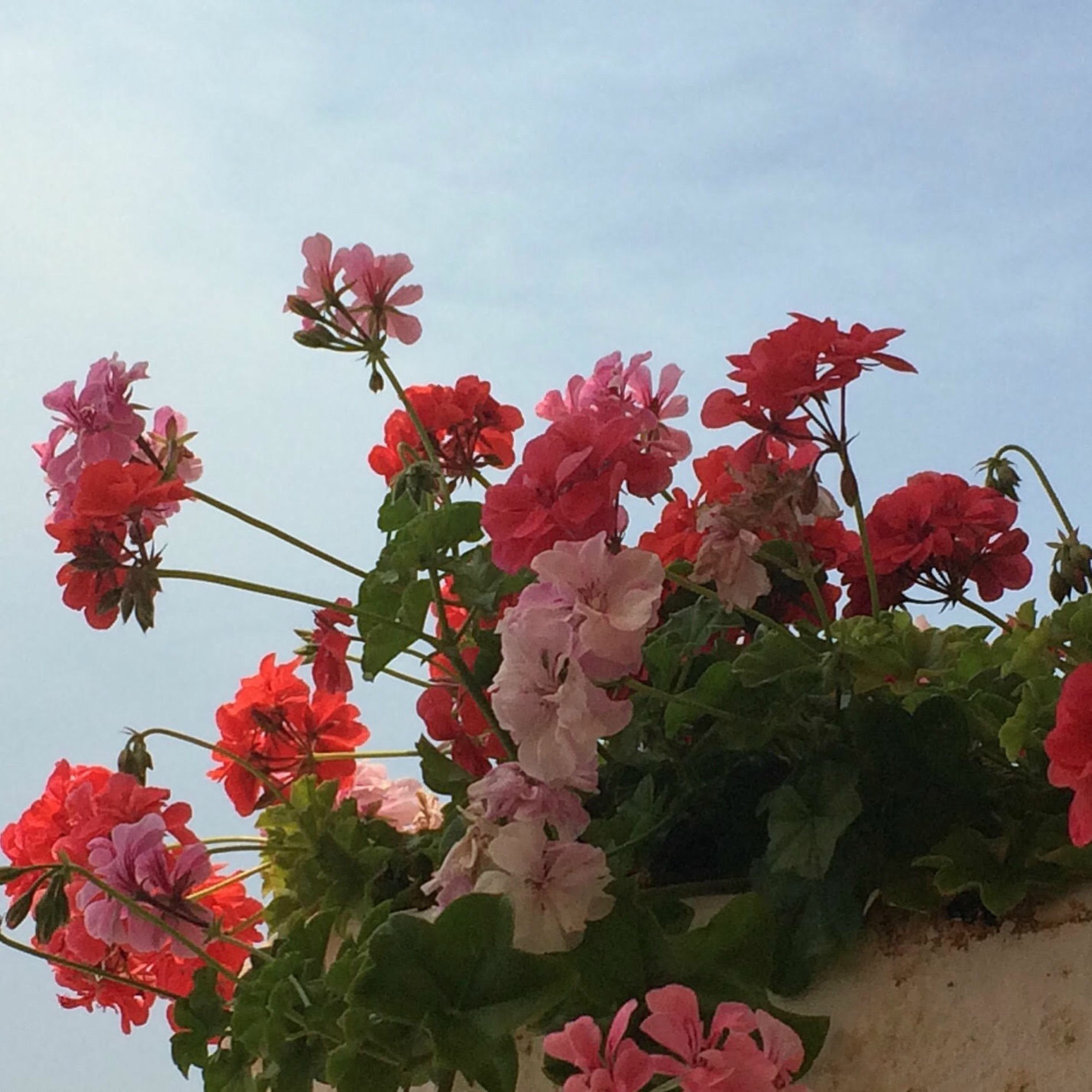 Album cover of Beauty Unit