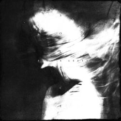 Cover of solace