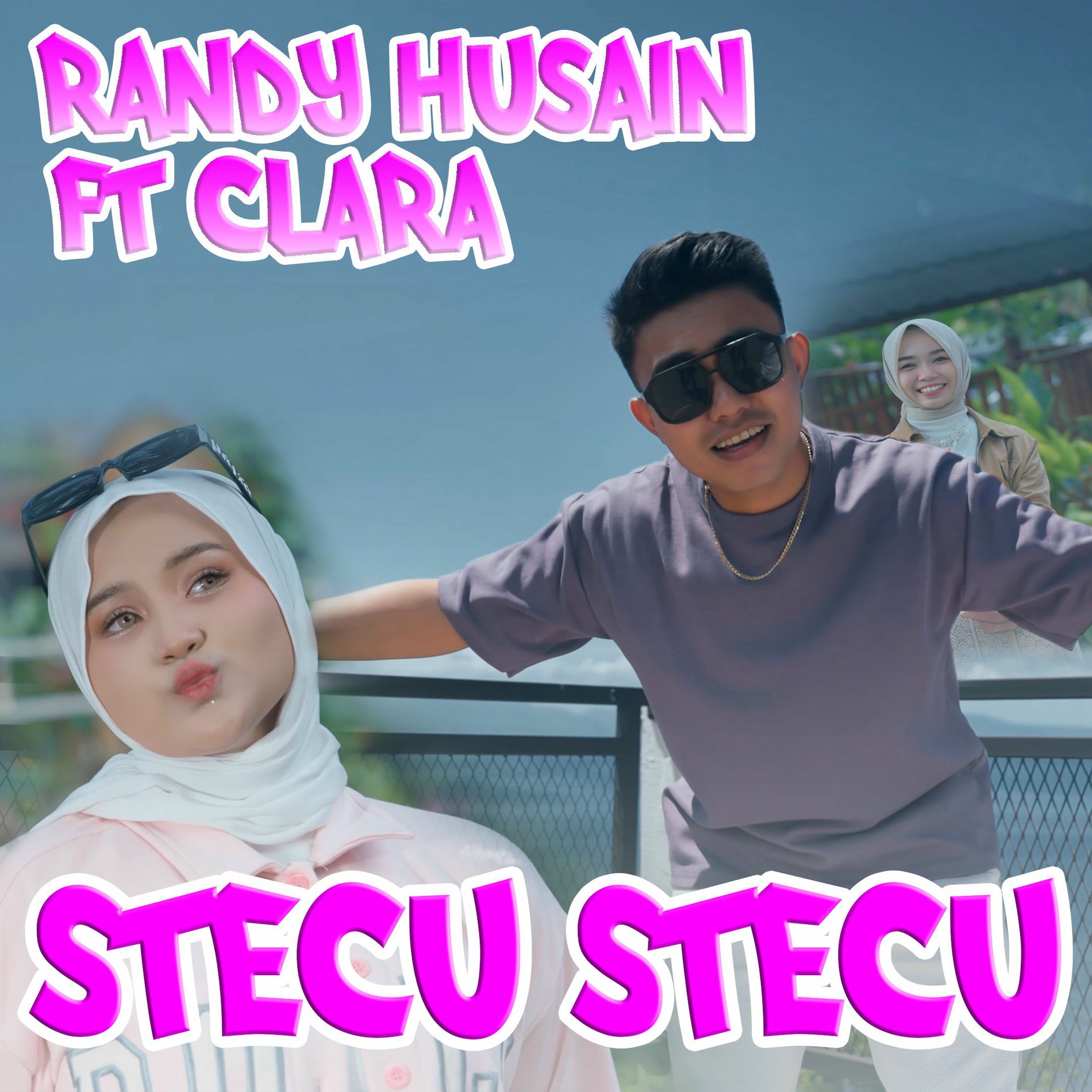 Album cover of Stecu Stecu