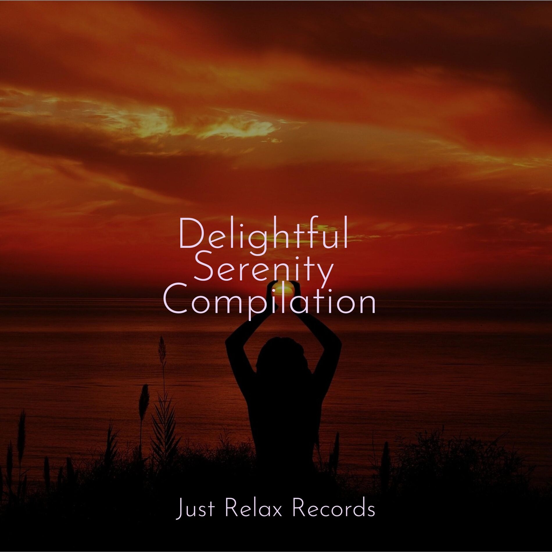 Album cover of Delightful Serenity Compilation