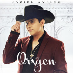 Cover of Mi Origen