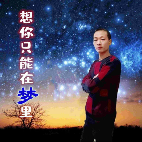 想你只能在梦里