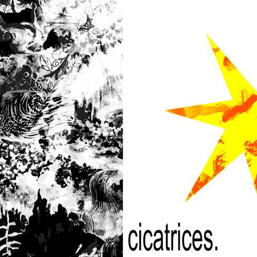 cicatrices.