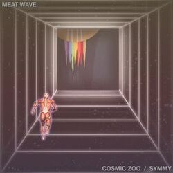 Cover of Cosmic Zoo / Symmy