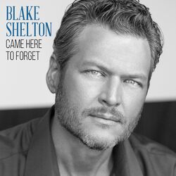 Cover of Came Here to Forget