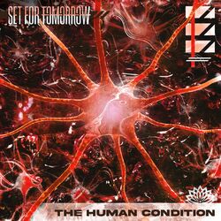 Cover of The Human Condition